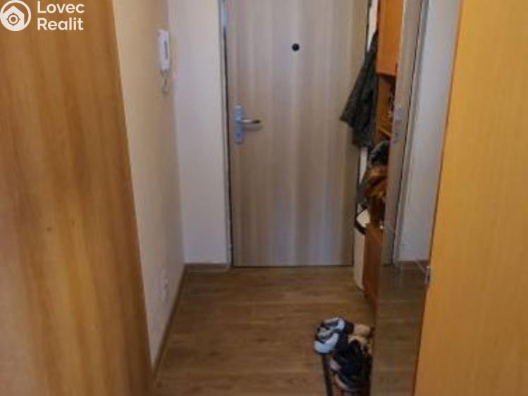 Pronájem bytu 1+1 Tachov, Želivského č. 9