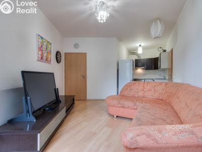 Rent apartment 2+KK Praha, Vladycká č. 7
