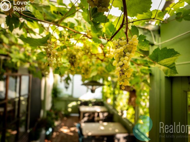 Sale restaurant Protivín č. 4