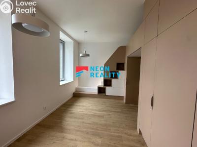 Аренда квартиры 1+KK Ostrava, Křižíkova č. 10