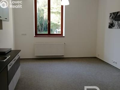 Pronájem bytu 2+KK Praha, Luštěnická č. 4