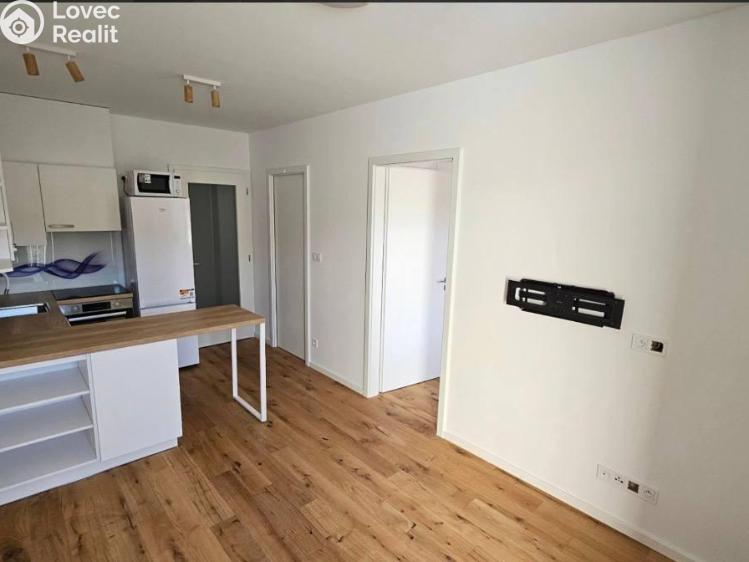 Pronájem bytu 2+KK Praha, Andrštova 1338/6 č. 6