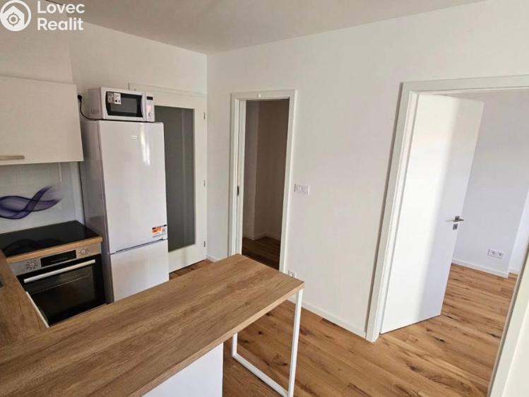 Pronájem bytu 2+KK Praha, Andrštova 1338/6 č. 1