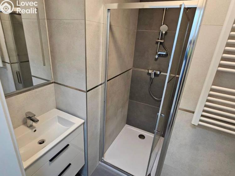 Pronájem bytu 2+KK Praha, Andrštova 1338/6 č. 4