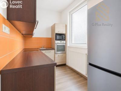 Prodej bytu 3+1 Děčín, J. z Poděbrad č. 6