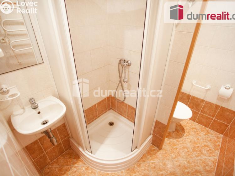 Pronájem bytu 1+1 České Budějovice, J. Plachty č. 3