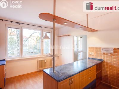 Pronájem bytu 1+1 České Budějovice, J. Plachty č. 6