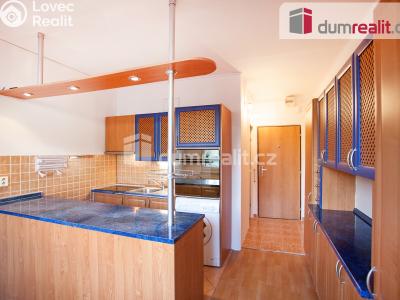 Оренда квартири 1+1 České Budějovice, J. Plachty č. 23