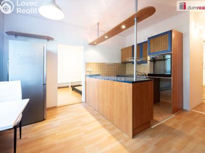 Оренда квартири 1+1 České Budějovice, J. Plachty č. 24