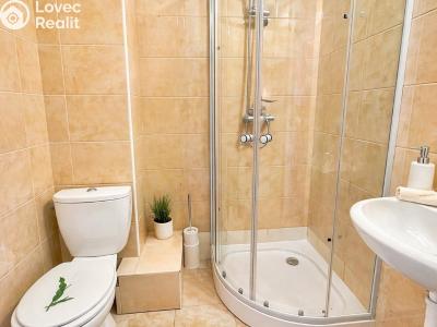 Pronájem bytu 1+1 Heřmanův Městec, Heřmanského č. 4