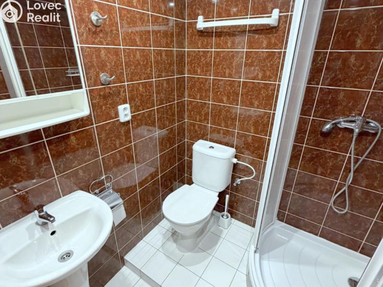 Pronájem bytu 1+1 Praha, Chelčického č. 7