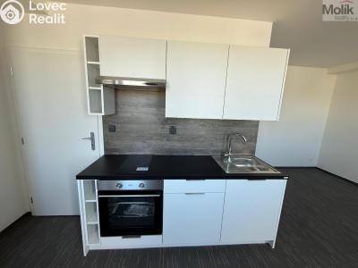 Pronájem bytu 1+KK Chomutov, Žižkovo náměstí 4796 č. 1