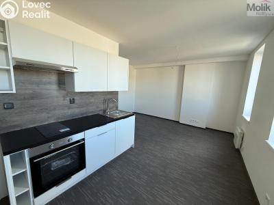 Pronájem bytu 1+KK Chomutov, Žižkovo náměstí 4796 č. 2