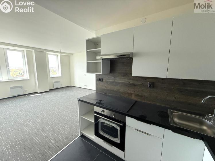 Pronájem bytu 3+KK Chomutov, Žižkovo náměstí 4796 č. 2