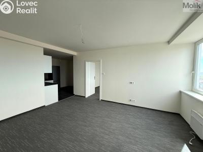 Pronájem bytu 3+KK Chomutov, Žižkovo náměstí 4796 č. 3
