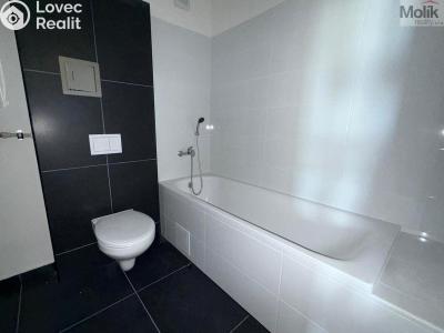 Rent apartment 3+KK Chomutov, Žižkovo náměstí 4796 č. 9