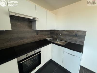 Pronájem bytu 3+KK Chomutov, Žižkovo náměstí 4796 č. 1