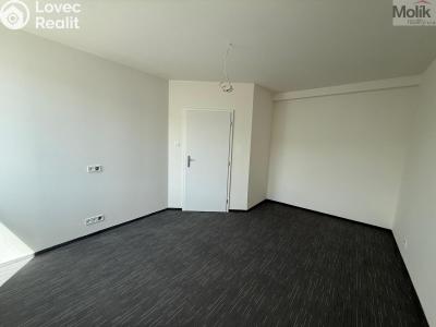 Rent apartment 2+KK Chomutov, Žižkovo náměstí 4796 č. 9