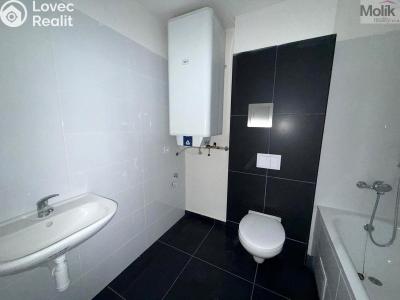 Rent apartment 2+KK Chomutov, Žižkovo náměstí 4796 č. 11
