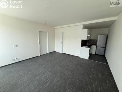 Rent apartment 2+KK Chomutov, Žižkovo náměstí 4796 č. 2