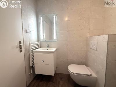 Rent apartment 2+KK Chomutov, 28. října č. 7
