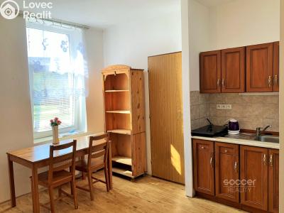 Pronájem bytu 1+KK Brandýs nad Labem-Stará Boleslav, Na dolíku č. 3