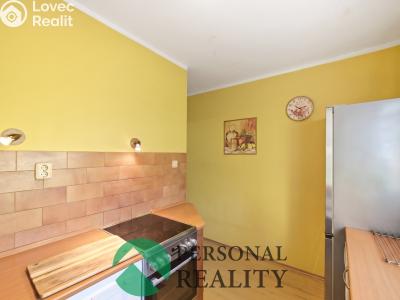 Sale apartment 3+1 Libčice nad Vltavou, Pod Saharou č. 10