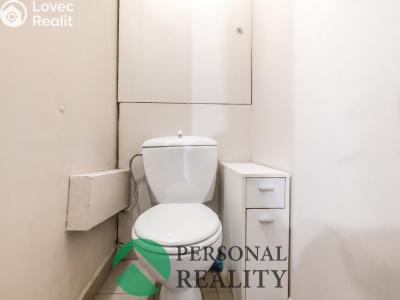 Sale apartment 3+1 Libčice nad Vltavou, Pod Saharou č. 21