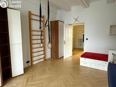 Pronájem bytu 3+KK Hradec Králové, Resslova č. 6