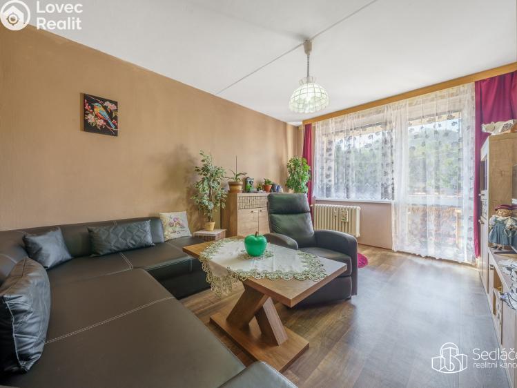 Prodej bytu 2+1 Kyselka č. 4