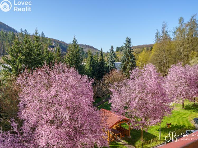 Prodej bytu 2+1 Kyselka č. 9