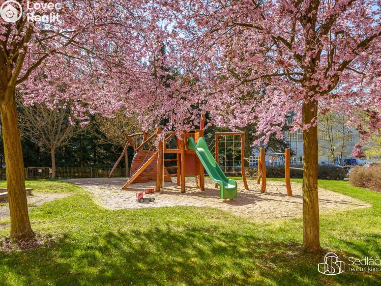 Prodej bytu 2+1 Kyselka č. 23