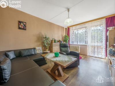 Prodej bytu 2+1 Kyselka č. 4