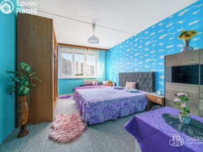 Prodej bytu 2+1 Kyselka č. 5