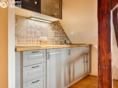 Prodej ubytovacího zařízení Kamenný Malíkov č. 3