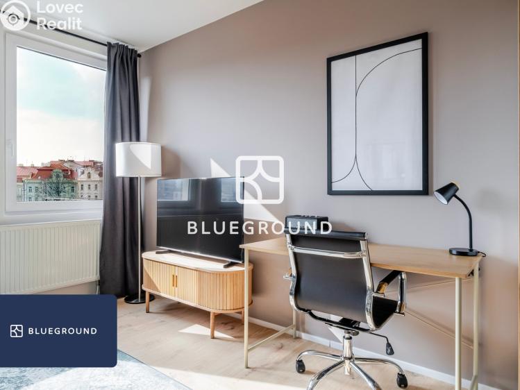 Pronájem bytu 1+KK Praha, Perucká č. 7