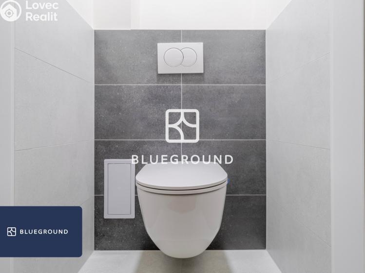 Pronájem bytu 1+1 Praha, Na mokřině č. 13