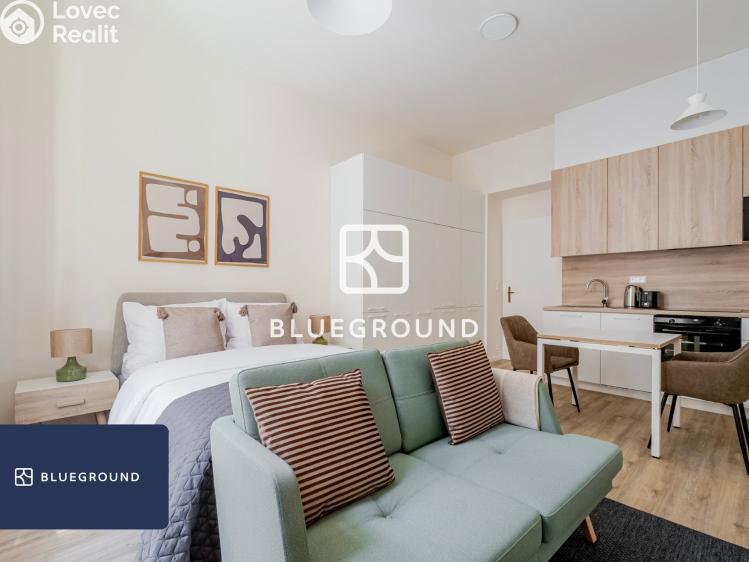 Pronájem bytu 1+KK Praha, Veletržní č. 3