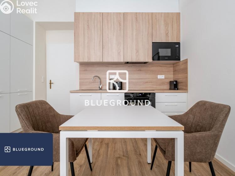 Pronájem bytu 1+KK Praha, Veletržní č. 7