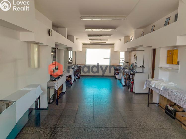 Pronájem výrobní haly Hodonín, Štefánikova č. 1