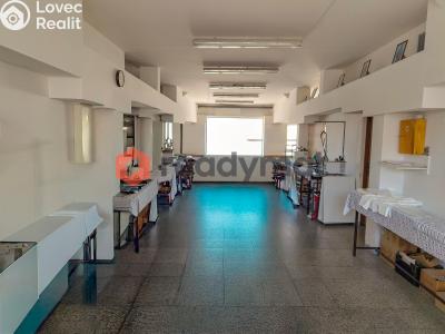 Pronájem výrobní haly Hodonín, Štefánikova č. 1