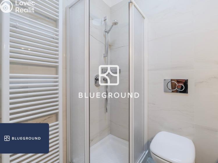 Pronájem bytu 4+KK Praha, Slavíkova č. 14