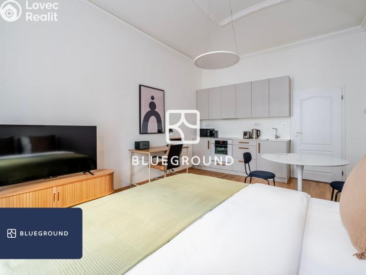 Pronájem bytu 1+KK Praha, Řehořova 986/16 č. 3