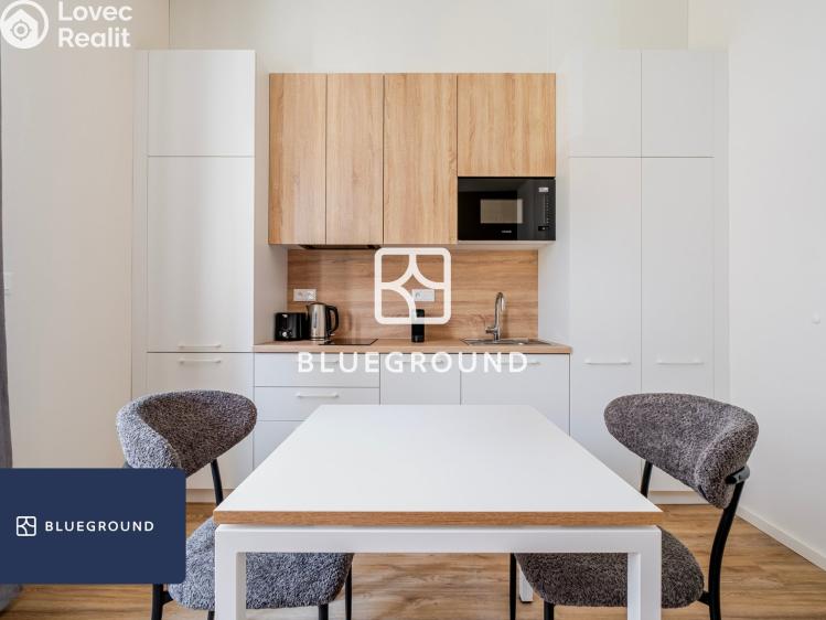 Pronájem bytu 1+KK Praha, Veletržní č. 6