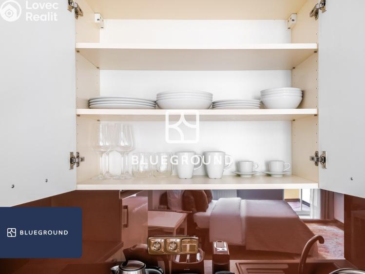 Pronájem bytu 1+KK Praha, Prvního pluku č. 8