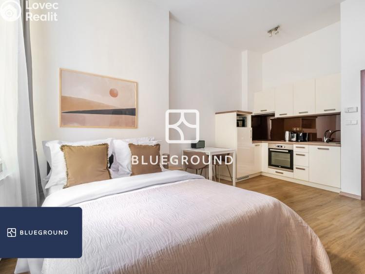 Pronájem bytu 1+KK Praha, Prvního pluku č. 11