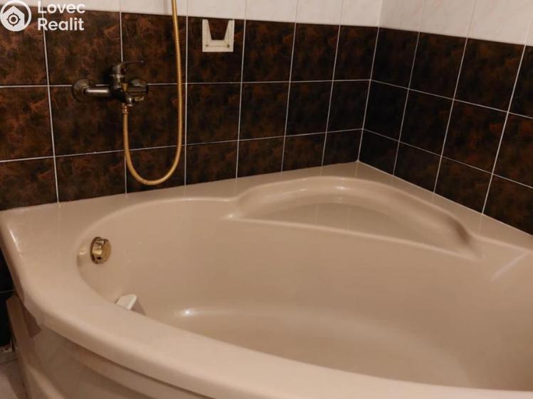 Pronájem bytu 1+1 Prostějov č. 1