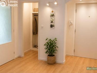 Pronájem bytu 4+KK Praha č. 5
