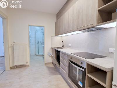 Pronájem bytu 2+KK Praha, Jana Želivského č. 4