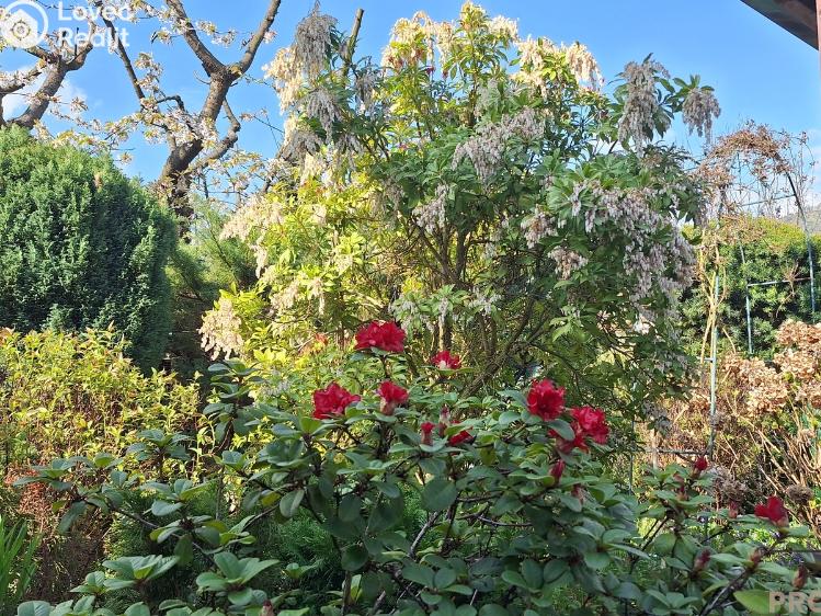 Prodej chaty Ústí nad Labem č. 12